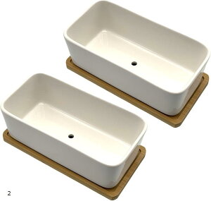 Aؔ A 픫 v^[ T{e 󂯎M gCt ` (zCg, 2Zbg)