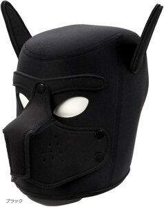  }XN RXv ttFCX 蕨 nEB (ubN)