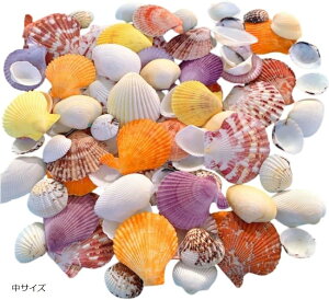 Lk ~bNXZbg _ 450g nhCh H DIY ANAE } fR Ntg p[c (TCY)