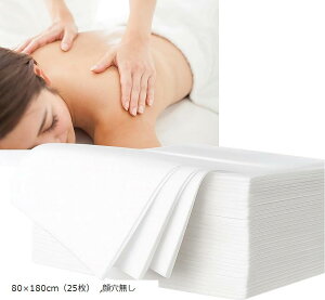 hV[c ĝ sDz Ɩp GXeT  25  Ȃ (zCg, 80x180cmi25j)