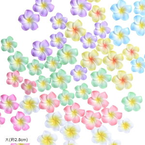 vA fR p[c 707F nCrXJX lC ANZT[ LN^[ W   Lbg ((2.8cm))