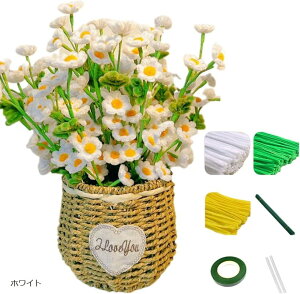 |[  `[bv ԑ Lbg  [A[g |f 蕨 DIY (zCg, 30x0.6cm)