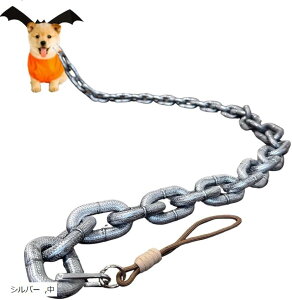 p nEB RXv  tFCN`F[ [h Bep  ybgp RX`[ (Vo[, )