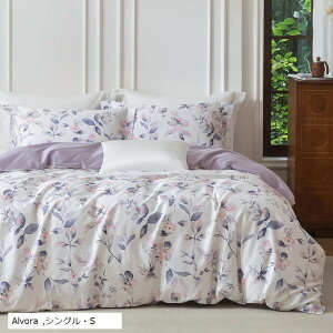 zcJo[Zbg 4_Zbg ʋC 60Ԏ荂xD IWifUC xbhJo[Zbg  Jo[x2 |zcJo[x1 }bgXJo[x1 (Alvora, VOES)