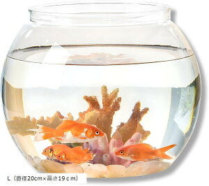  vX`bN Ȃ  ̐ L _J eE Y y  킢 CeA (Vo[, Lia20cmx19cmj)