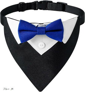 tH[} hbO ^LV[ho_i Lp XJ[t lN^C a p[eB[ LOBe (u[, M)