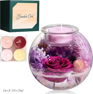 vU[uht[ av[g  ̓ hCt[  ޏ FB ꂳ j LO zj މ@j Əj AEj ސEj ͂Ȃ A}L