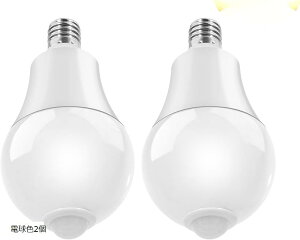 LEDd ZT[Ɛl̃ZT[t E17 nQd80 Wɑ (, dF2)