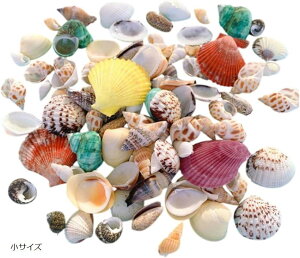 Lk ~bNXZbg _ 450g nhCh H DIY ANAE } fR Ntg p[c (TCY)