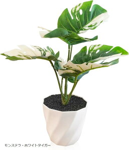 ϗtA tFCN  CeA tFCNO[  A 3_Zbg (XeEzCg^CK[, )