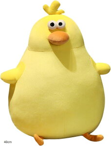 Ђ悱 ʂ    NbV  Mtg (CG[, 40CM)