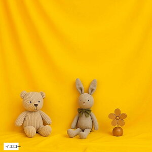 wiz ^ n obNXN[ Bep ʐ^Be X^WI  ܂ pr \ (CG[, 2mx3m)