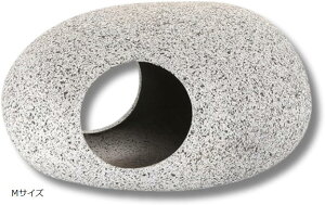 ANAE I[ig B   (O[, MTCY)