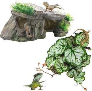 Jiwr roE gJQ VF^[ lHA ঒ B T n   bNVF^[ (O[)