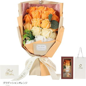 \[vt[ ԑ ^тɕ֗ ܕt {bNXt a LO j ʉ Mtg v[g (Of[VIW, ?)