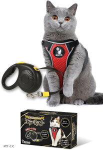 L n[lX GAlXg Lk[ht xXg^Cv y ˍ т܂ȂobN^Cv (bh(wʕ̓ubN), MTCY)