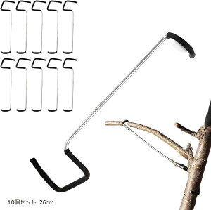 }ȂNbv x   ʕ H ~ 10Zbg (26cm)