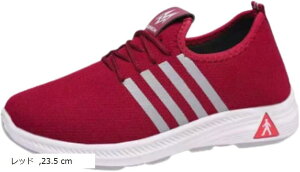 Xj[J[ fB[X EH[LOV[Y jOV[Y W g[jO ₷ y ʋ 풅p ɂ ~ (bh, 23.5 cm)