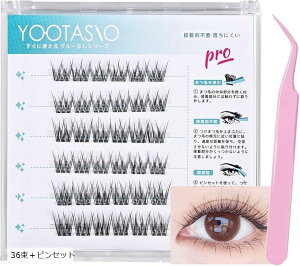 ܂ ̂sv 1b܂GN ܂ ɂS  ̊ O[sv  lC S v y K sƓg (36{sZbg)