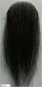 tE Ђ E z EBbO Ђ {E (black xia)