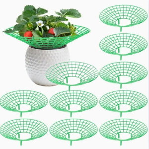 C`ScpxZbg 10 ͔|p Xgx[T|[g  (O[)