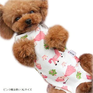 pp㕞 L IX X p㕞 j̎q ̎q (sN@g XLTCY, LL)