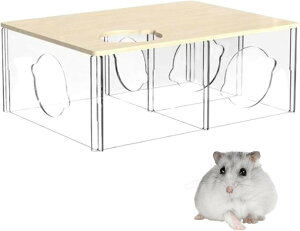 nX^[  nEX T[N gl   Q[W  B (NA)