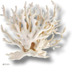 ANAE lHX  B (zCg, 14cmx17cm)