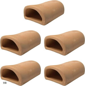 Y Y B y  VF^[ IuWF vR UKj C ߂  Mы (IW, 5)