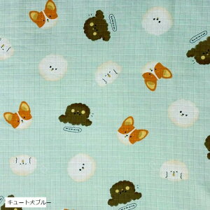  L   | n |p Iׂ13 2m 160cm (L[gu[)