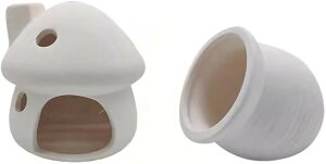 ANAE 2_Zbg I[ig ̂nEX zCg (zCg, 摜Q)