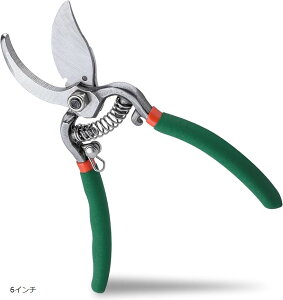 |͂ ΂ nT~ |piCt }؂oT~  ؂ ϗtA 蓮 ~ SbNt ₷}؂͂  ~ |pi (O[, 6C`)