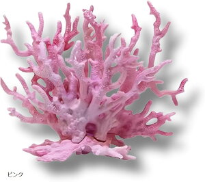 ANAE lHX  B (sN, 14cmx17cm)