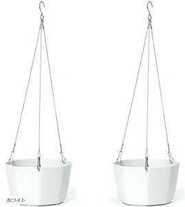 nMO v^[ ϗtA C[ oXPbg A  ݂  CeA   (zCg, 15cm)