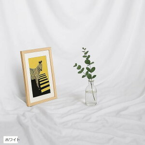 wiz n Bep ^ obNXN[ ʐ^Be X^WI pr  \ ܂ (zCg, 2mx1.5m)