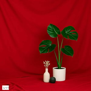 wiz n Bep ^ obNXN[ ʐ^Be X^WI pr  \ ܂ (bh, 2mx1.5m)