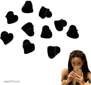 wANbvZbg ~j oXNbv O fB[X K[Y wAANZT[ 킢 10 (xAubN)