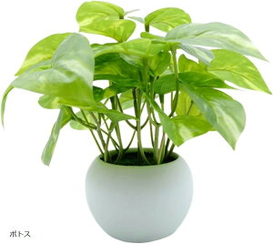 tFCNO[ lHϗtA ~j  CeA |gX (|gX, Small)