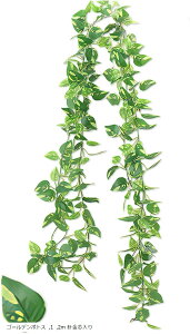 Tierneys tFCNO[ K[h tFCN[t CeA lHϗtA Ǌ| ݂艺  O x_ K[fjO (S[f|gX, 2m jc)