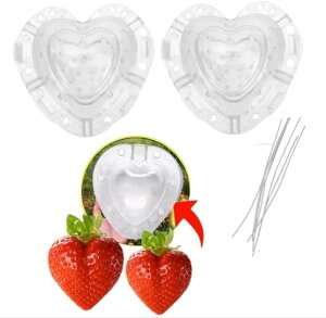 C`Sc 䕕c ܂ C`S` ^ un[g^ K[fjO ƂƂ