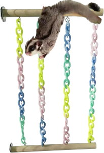 Kp `F[ P[W ݂艺 ߋ tNEK ܂Ƃ ~܂  Q[W t Vя CR tFbg (O[)