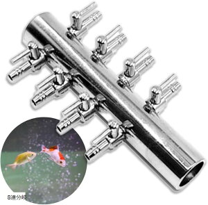  GAou 񕪊 C _f z GA[`[u GA[|v ANAE Mы RbN GA[V (Vo[, 8A)