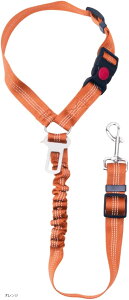  V[gxg ԗp [h  Lk obNt hCup ybgV[gxg яoh~ ^ ^ ^ LΉ wbhXg v 􂦂 S[h 360x