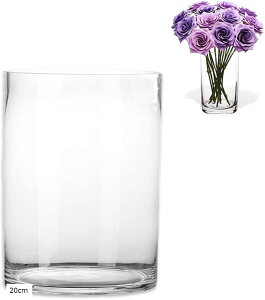 KXԕr  t[x[X k  Vv CeAG (NA, 20cm)