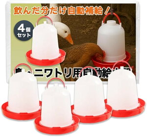 ݊   jg qR  Ƌ  |ȒP t 4Zbg e ݂艺 ݒu Ή (bh)