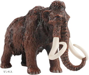  tBMA ͌^ 傫 A  PVC 6ΈȏΏ (}X)