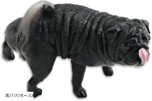  tBMA  pO Č [A|[Y fXN  Mtg CeA RNV (pO/|[YA, 7cmx5cmx4cm)