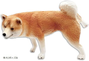  tBMA  pO Č [A|[Y fXN  Mtg CeA RNV (Č/|[YA, 7cmx5cmx4cm)