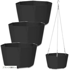 nMOv^[ ݂艺 Aؔ ϗtA CeA rO ItBX  C[ (ubN3Zbg, F15cm@F12cm@F9cm)