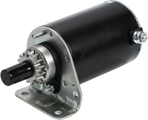 ݊iBriggsStratton VANGURAD Z[^[ ЊOi ubOXAhXgbg p @K[h PCGW X^[^[